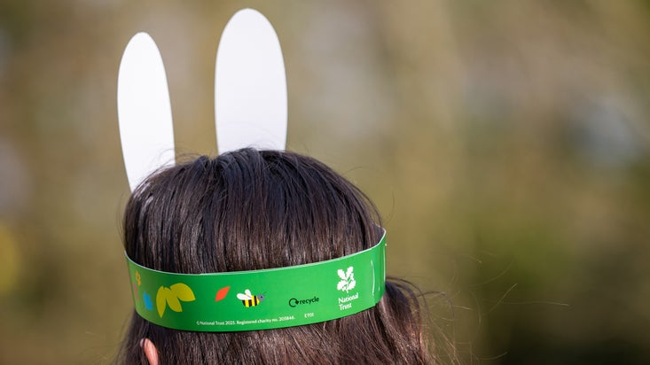 A photo showing the head of a young girl from behind. She is wearing green cardboard bunny ears